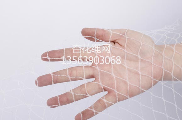 防鸟网
